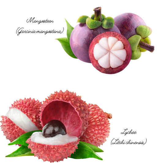 The Amazing History Of Saccharomyces Boulardii