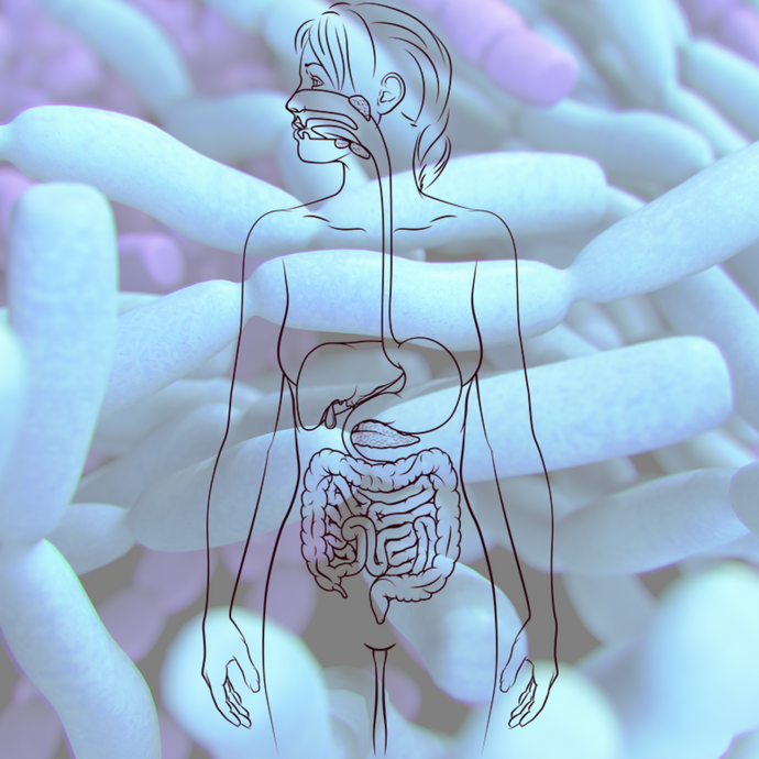 Beyond Digestive Health: The Hidden Benefits Of Probiotics