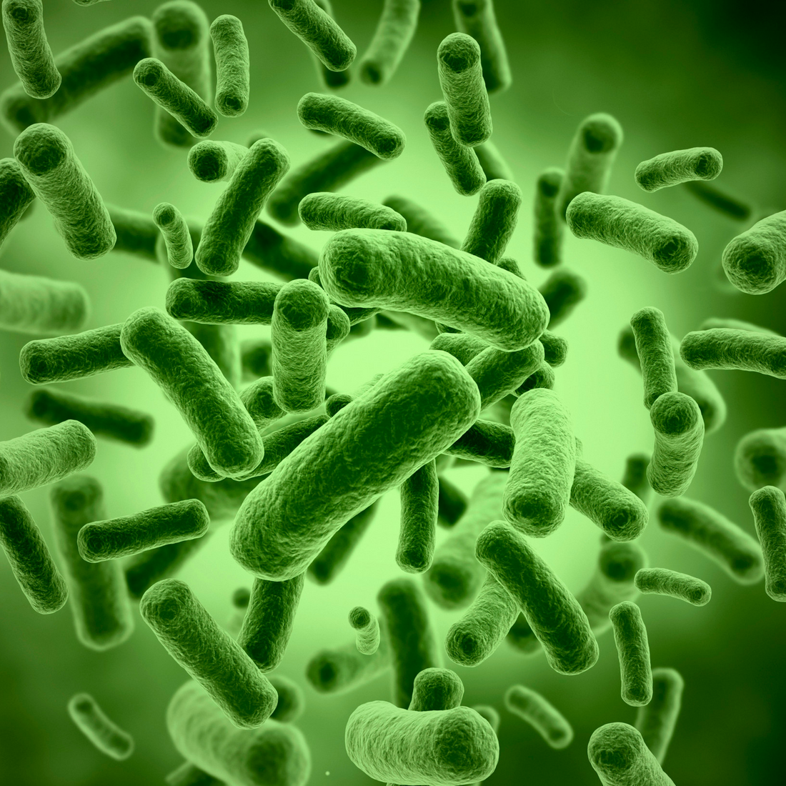 DE111 Is A Clinically Studied Probiotic Powerhouse